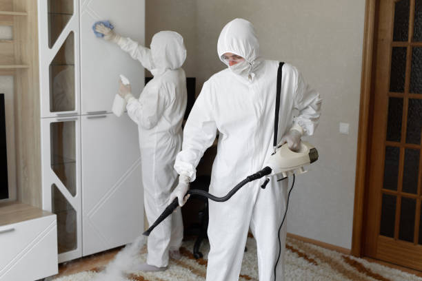 Best Professional Mold Removal  in Port Jervis, NY